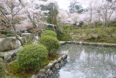 造園・剪定・伐採工事